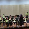 Danubia Symhonic Winds Orchestra 2017